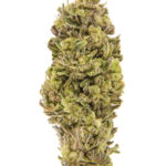 cannabis-thc-1seeds.com-seeds