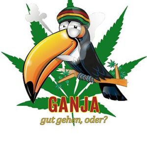 bubba-kush-toucan-art-autoflower-seeds-cannabis-strain-usa-marijuana-bud