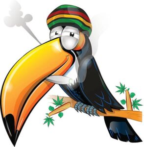 marijuana-tucan-cartoon-character-smoking-bong