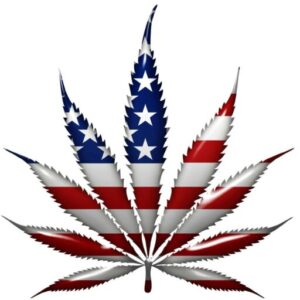 buy-cannabis-seeds-usa-single-1seeds-buy-marijuana
