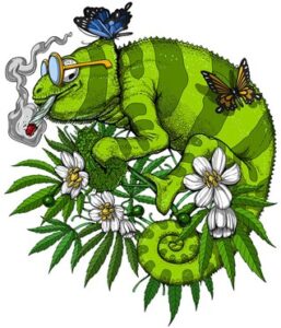 marijuana-acapulco-seeds-smoking-strain-cannabis-cartoon