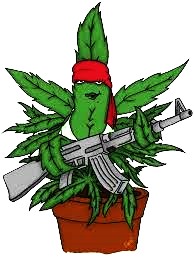 ak-47-marijuana-leaf-smoking-artwork-seeds-strain