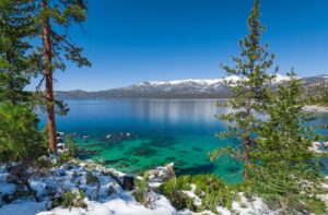 Lake-tahoe-og-autoflower-strain-seeds-cannabis-bud2